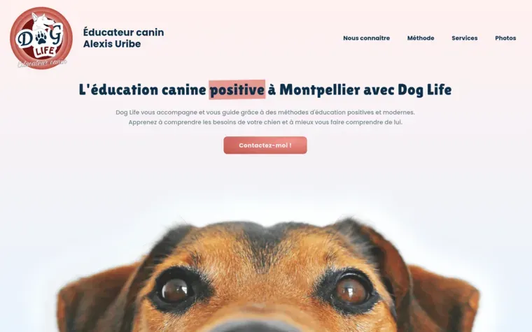 Page d'accueil du site Doglife.